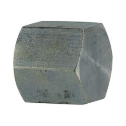 Steel Female NPT Pipe Cap