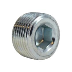 Galvanized Steel Hex Socket Plug