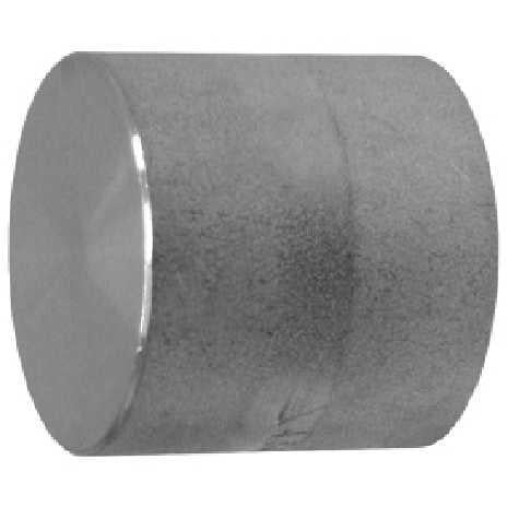 3000# STAINLESS STEEL THREADED CAP - FASTFITTINGS.COM