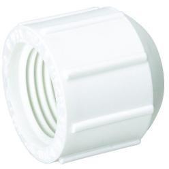 SCH 40 PVC THREADED CAP - Fast Fittings